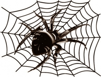 Зооморфема паука в рефлексии философии