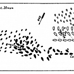 Сражение у мыса Калиакрии 31 июля 1791 года. 15 часов 30 минут 